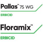 PALLAS™ și FLORAMIX ™ – cele mai performante și utilizate erbicide pentru controlul buruienilor graminee și cu frunză lată din cultura de grâu