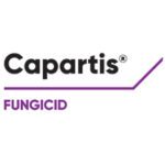 Capartis™ – fungicidul capabil să rezolve toate problemele din culturile oleaginoase și plante tehnice