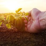Corteva Agriscience: Creștere de 40% în vânzările de Protecția Plantelor în România pentru primele 9 luni ale 2023